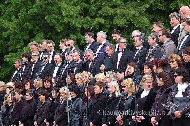 2008 devintines 2261 ak