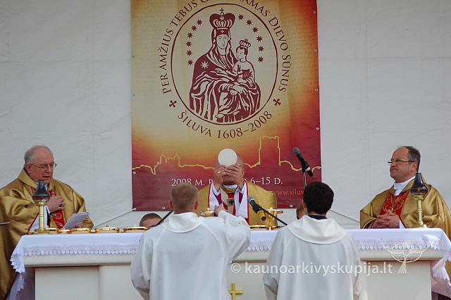 2008 devintines 2319 ak