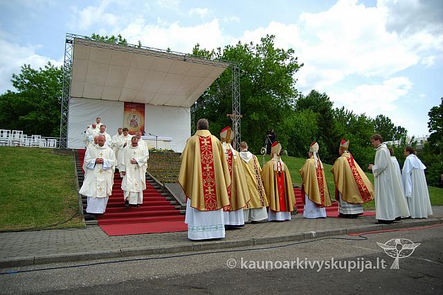 2008 devintines 2353 ak