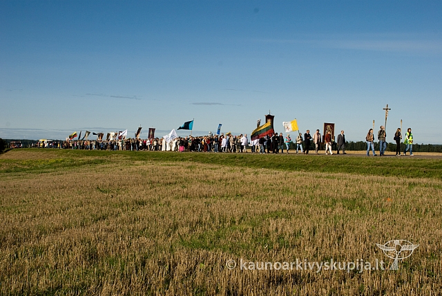 20080831 silines400 1043 sk