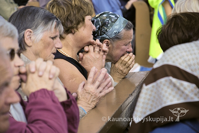 20080831 silines400 2132 sk