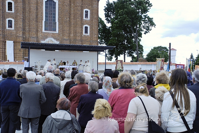 20080831 silines400 2137 sk