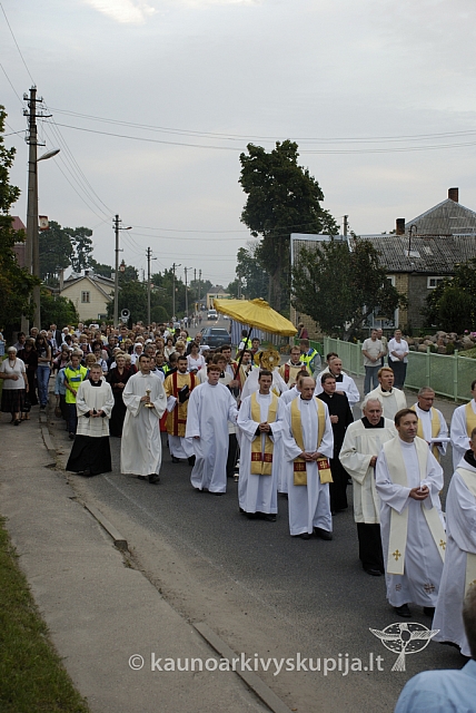 20080906 silines400 2564 sk