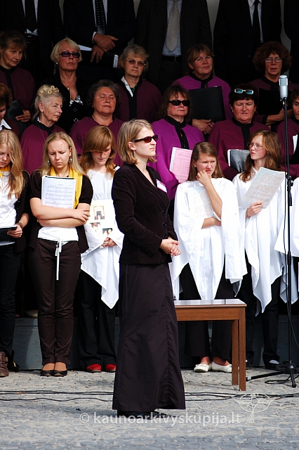 20080906 silines400 3084 ak