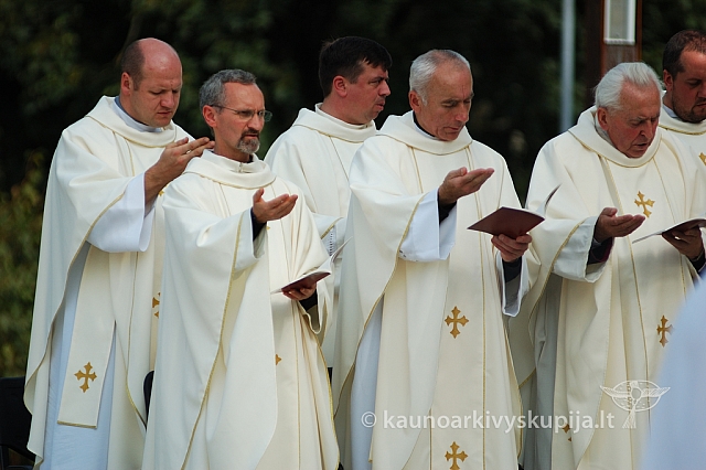 20080906 silines400 3159 ak