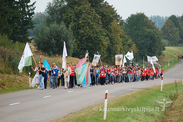 20080906 silines400 3391 ak