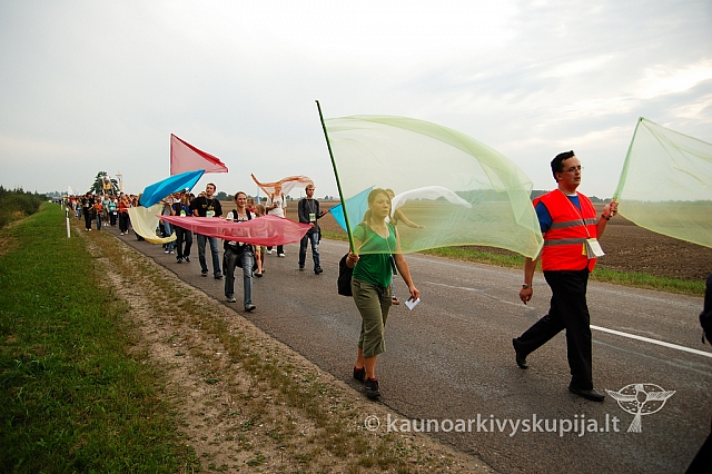 20080906 silines400 3439 ak