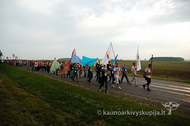 20080906 silines400 3519 ak