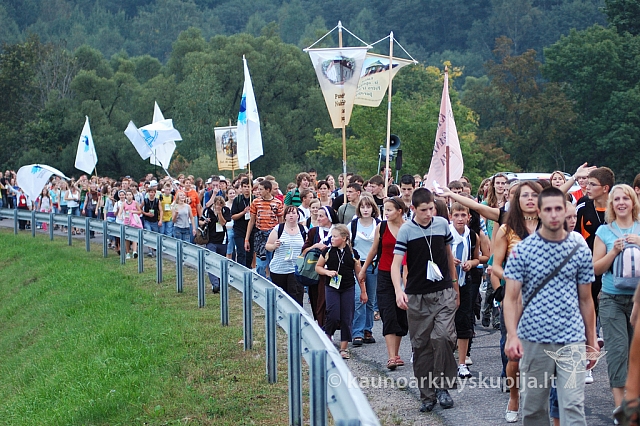 20080906 silines400 3602 ak