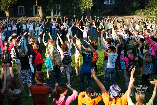 20080907 silines400 1011 ak