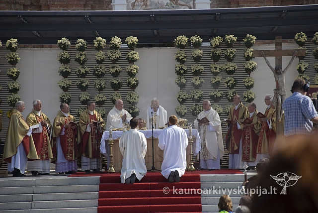 20080907 silines400 2120 sk