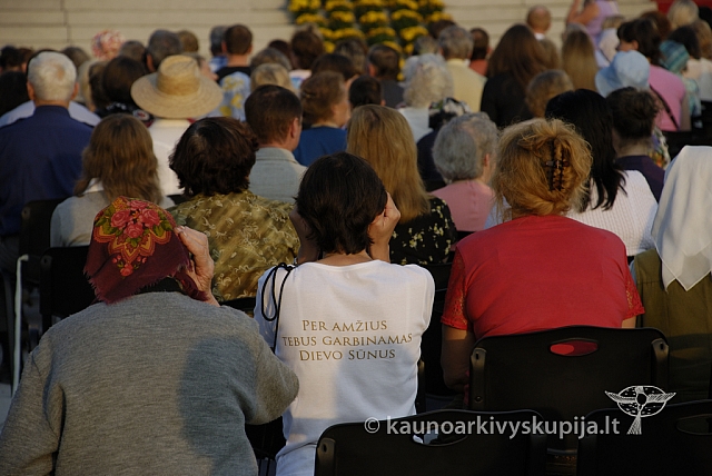 20080907 silines400 3020 sk