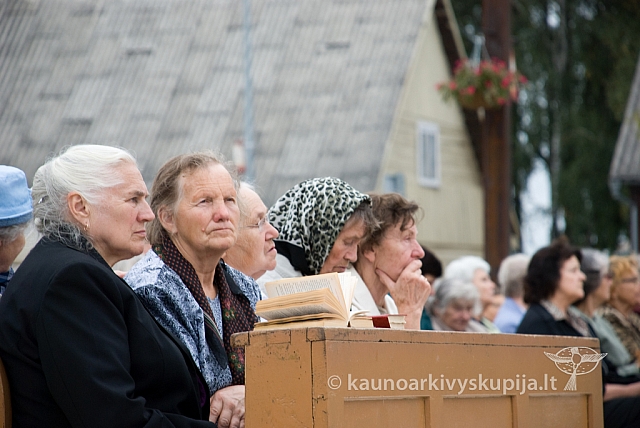 20080908 silines400 1006 sk