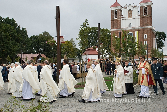 20080908 silines400 1013 sk