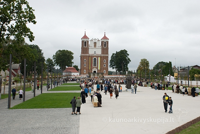 20080908 silines400 1016 sk