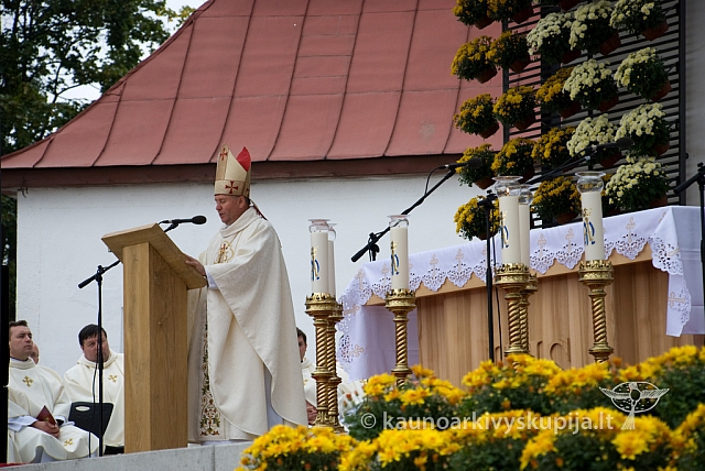 20080908 silines400 1023 sk