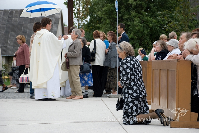 20080908 silines400 1045 sk