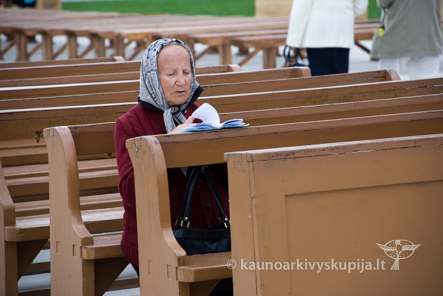 20080908 silines400 1092 sk