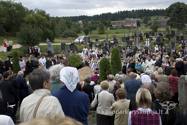 20080908 silines400 1104 sk