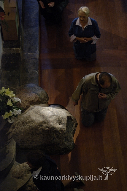 20080909 silines400 1001