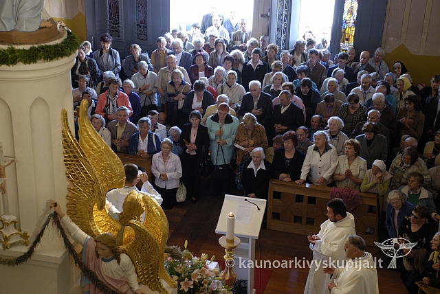 20080909 silines400 1039