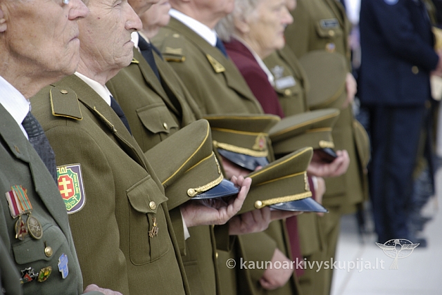 20080909 silines400 2039