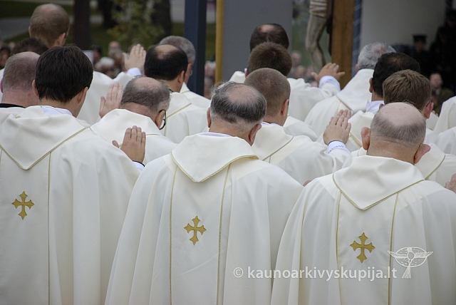 20080909 silines400 2087