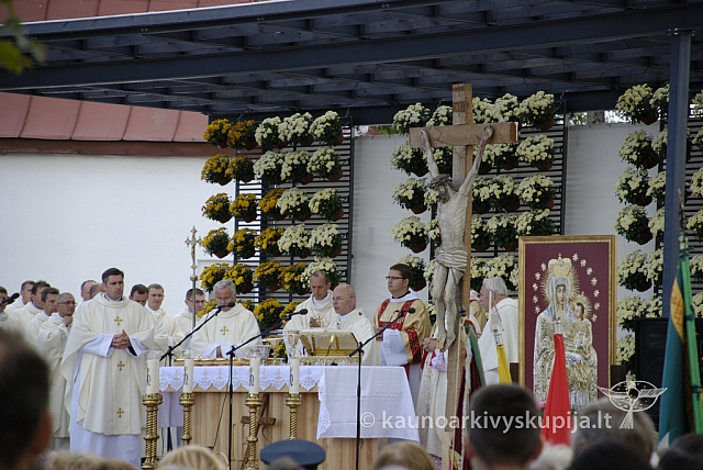 20080909 silines400 2096