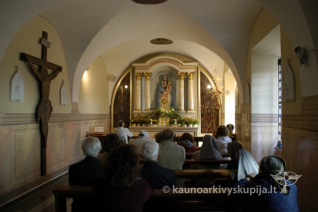 20080909 silines400 2153