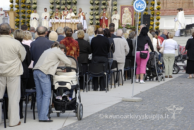 20080909 silines400 3001