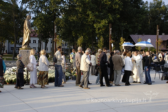 20080909 silines400 3027