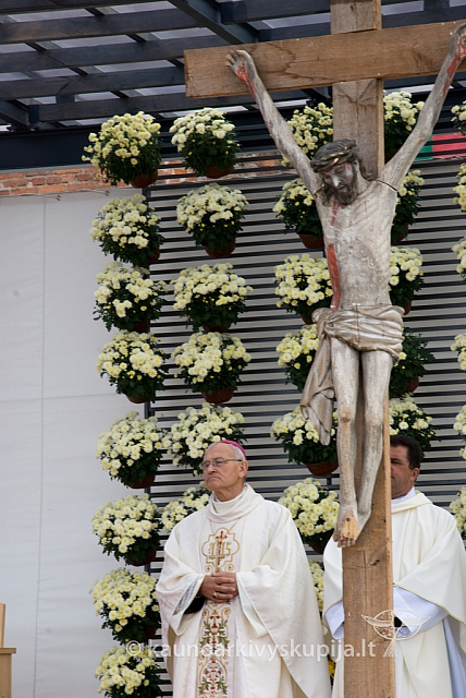 20080910 silines400 1027 sk