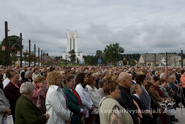 20080910 silines400 1031 sk