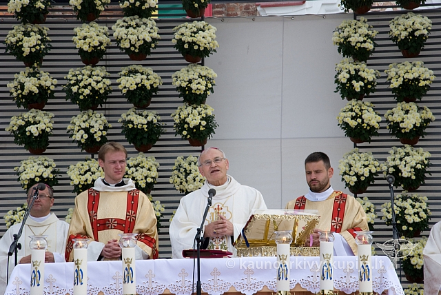 20080910 silines400 1034 sk