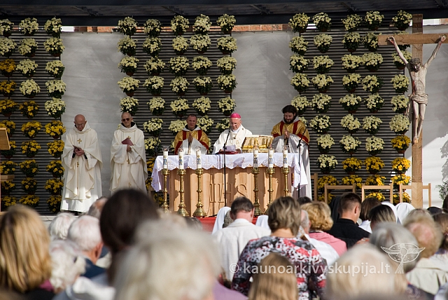 20080910 silines400 2046 sk