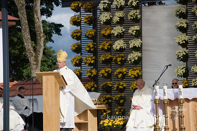 20080910 silines400 2057 sk