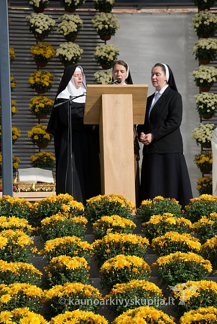 20080910 silines400 2059 sk