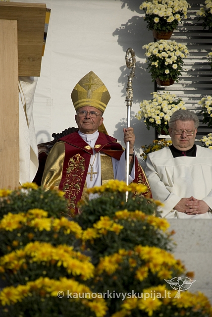 20080910 silines400 2097 sk