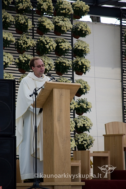 20080911 silines400 1013