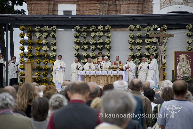 20080911 silines400 1079