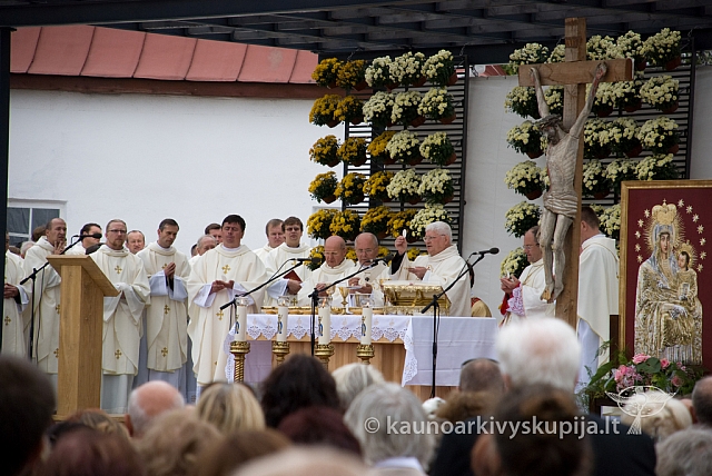 20080911 silines400 1084