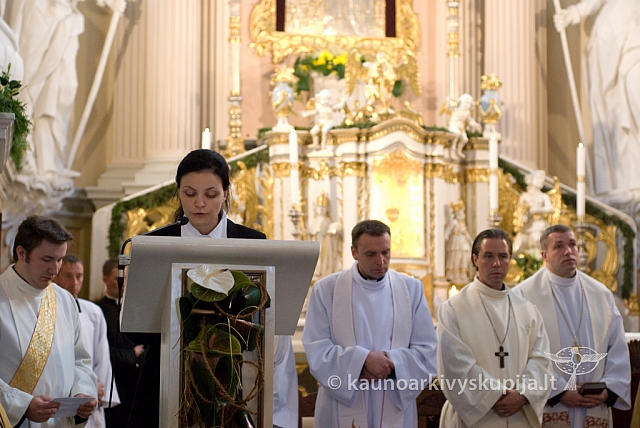 20080911 silines400 2065