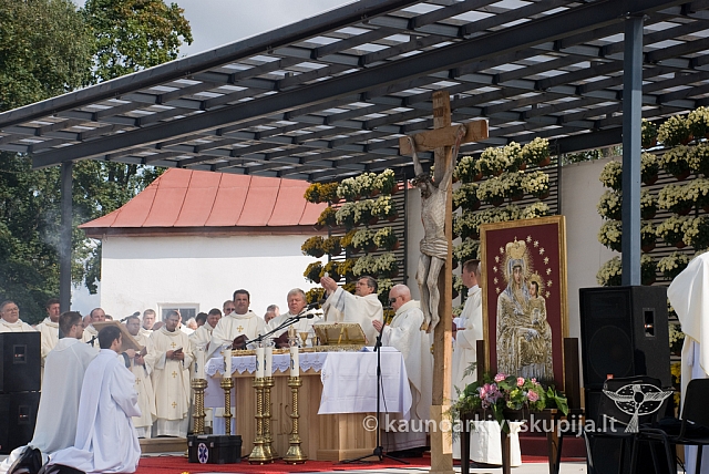 20080912 silines400 1114 sk