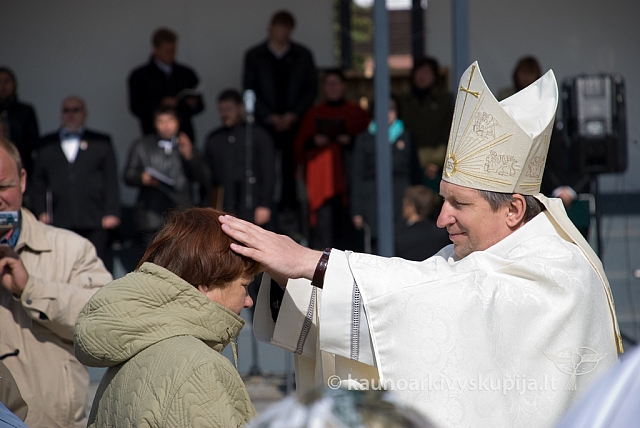 20080912 silines400 2060 sk