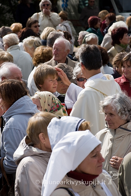 20080912 silines400 2080 sk