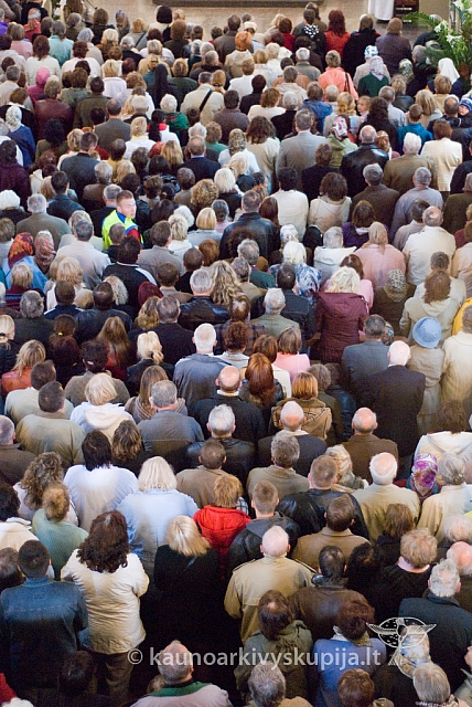 20080912 silines400 2122 sk