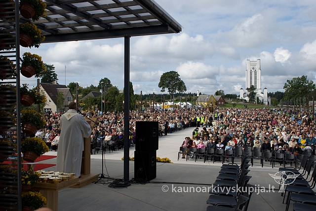 20080913 silines400 1026 sk