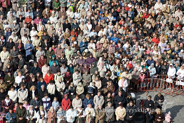 20080913 silines400 1053 sk