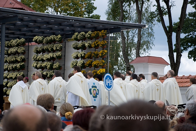 20080913 silines400 1098