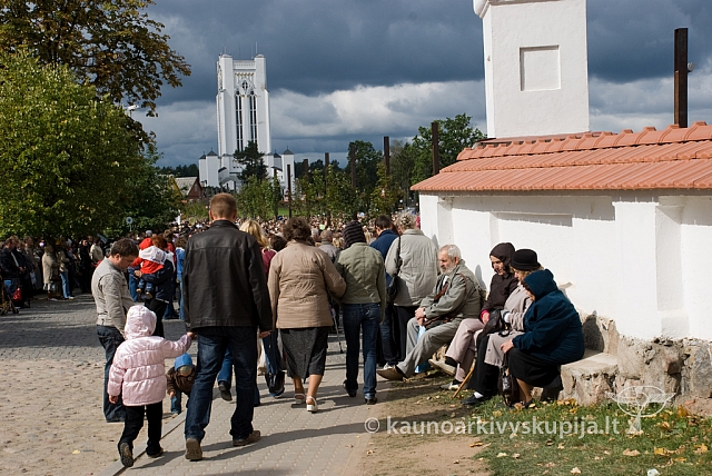 20080913 silines400 1105 sk